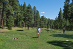 photo thumbnail #13