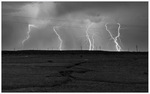 photo thumbnail #10