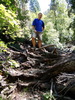 photo thumbnail #3