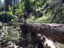 photo thumbnail #6