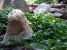 photo thumbnail #7