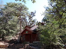 photo thumbnail #6