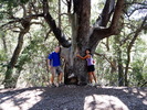 photo thumbnail #7