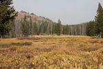 photo thumbnail #12
