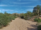 photo thumbnail #8
