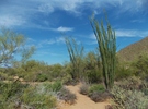 photo thumbnail #12