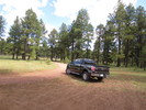 photo thumbnail #1