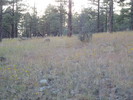 photo thumbnail #10