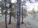 photo thumbnail #11