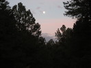 photo thumbnail #13