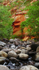 photo thumbnail #11