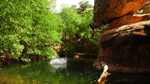 photo thumbnail #4