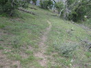 photo thumbnail #2