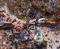 photo thumbnail #2