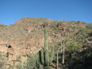 photo thumbnail #8