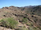 photo thumbnail #10