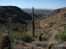 photo thumbnail #12