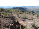 photo thumbnail #14
