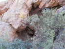 photo thumbnail #6