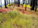 photo thumbnail #15