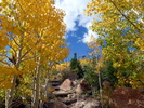 photo thumbnail #3