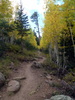photo thumbnail #9
