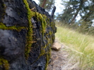 photo thumbnail #10
