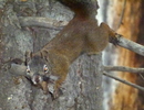 photo thumbnail #11