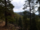 photo thumbnail #13