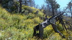 photo thumbnail #14