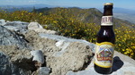 photo thumbnail #15