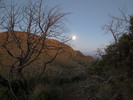 photo thumbnail #10