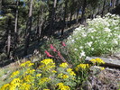 photo thumbnail #3