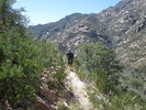 photo thumbnail #4