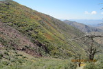 photo thumbnail #12