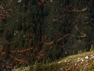 photo thumbnail #14