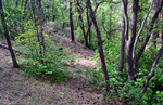 photo thumbnail #15