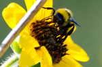 Featured Full Photo