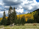 photo thumbnail #5