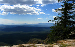 photo thumbnail #8