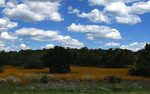 photo thumbnail #15