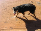 photo thumbnail #3