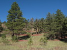 photo thumbnail #1