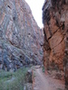 photo thumbnail #10