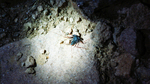 photo thumbnail #15