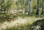 photo thumbnail #1