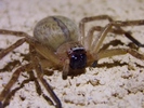 photo thumbnail #6