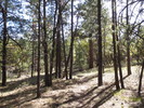 photo thumbnail #1