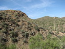 photo thumbnail #2