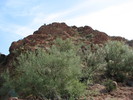 photo thumbnail #8